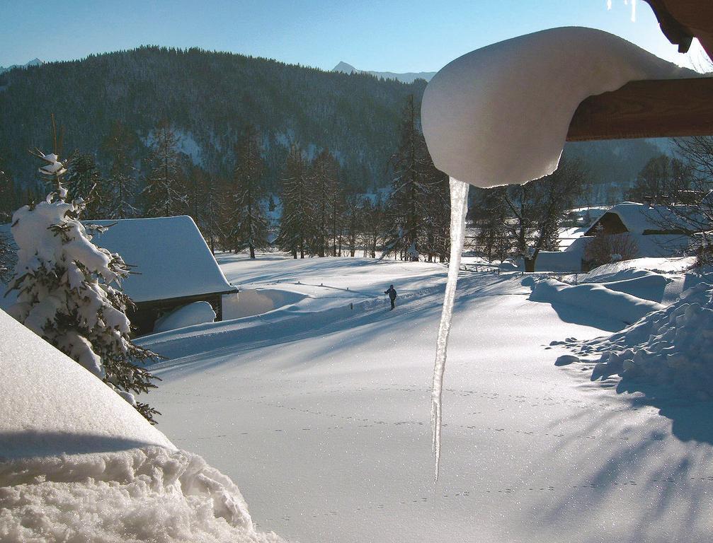 Haus Berghild Apartment Ramsau am Dachstein Cameră foto